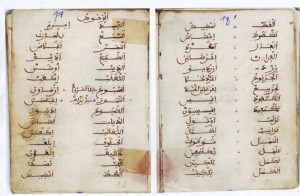 arabic kaby;e dic 1580